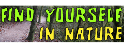 Find Yourself In Nature small bumper sticker — Root Concepts design 558