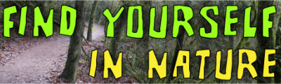 Find Yourself In Nature small bumper sticker — Root Concepts design 558