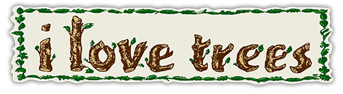 I Love Trees — Root Concepts sticker design
