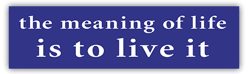The Meaning of Life is to Live it - Small Bumper Sticker | 153