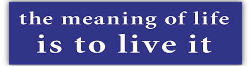 The Meaning of Life is to Live it - Small Bumper Sticker | 153