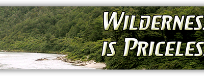 Wilderness is Priceless small bumper sticker — Root Concepts design 468