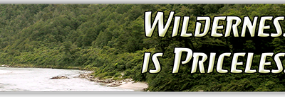 Wilderness is Priceless small bumper sticker — Root Concepts design 468