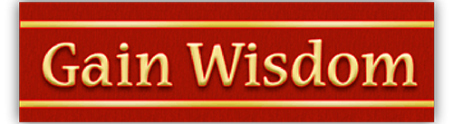 Gain Wisdom small bumper sticker — Root Concepts design 407
