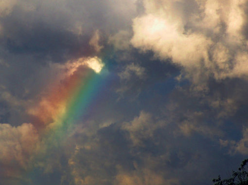 Monsoon Rainbow - 8x10 Canvas Print